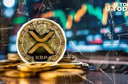 XRP市场波动引发的巨额永续合约买家清算