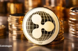 XRP 交易清算量失衡：市场情绪的警示信号